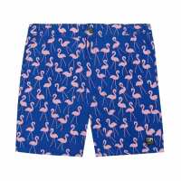 Read Tom & Teddy USA & Canada Reviews